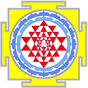 Vedic astrology programs